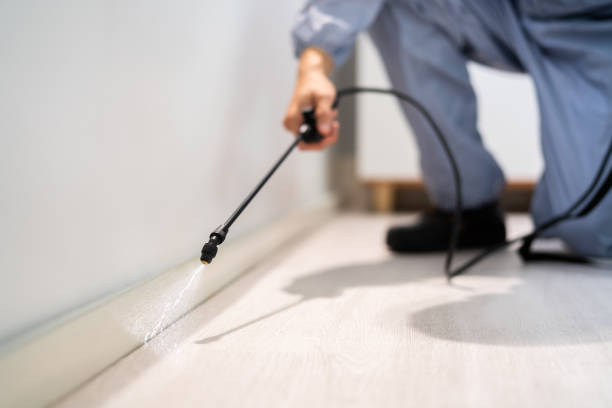 Rodent Entry Point Assessment in Sarasota Springs