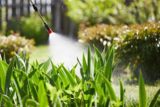 Tamper-Resistant Bait Stations for Rodents in Sarasota Springs