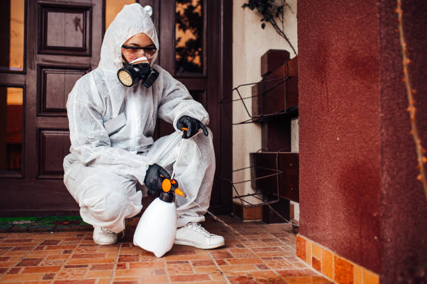 Attic and Crawl Space Rodent Treatment in Sarasota Springs