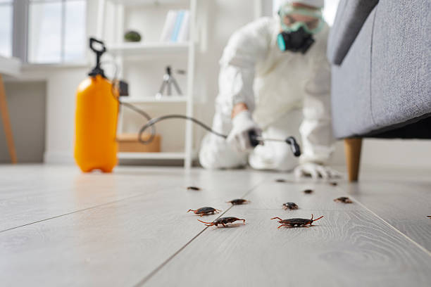 Commercial Rodent Management in Sarasota Springs